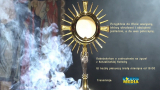 Nabożeństwo o uzdrowienie - Katedra w Koszalinie 2 02 2022